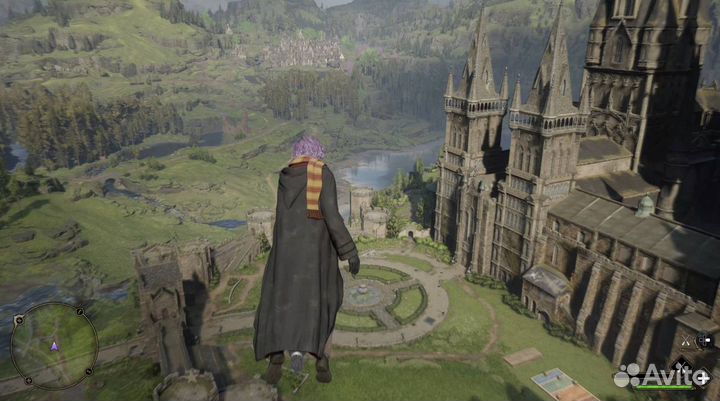 Hogwarts Legacy PS4/5 c-9687