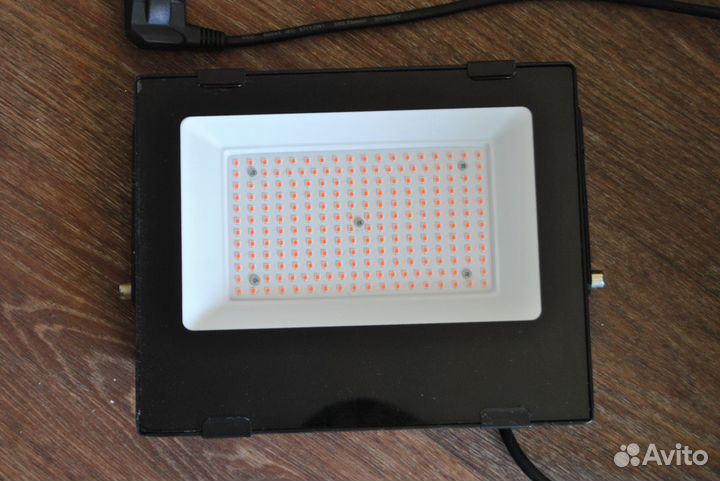 Фитолампа для растений