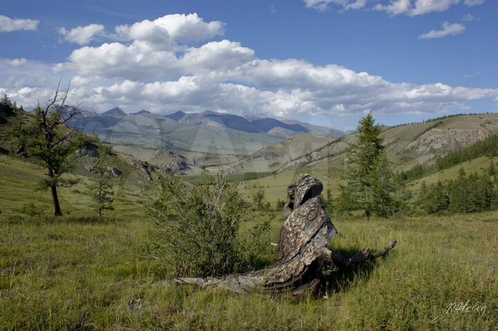 Участок 22 га (СНТ, ДНП)