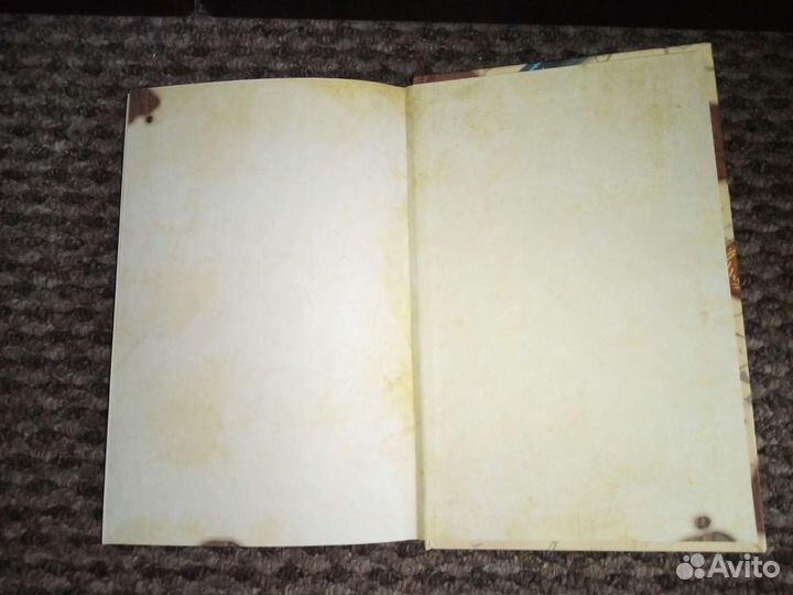 Книга Диппер и Мэйбел сокровища и пираты времени