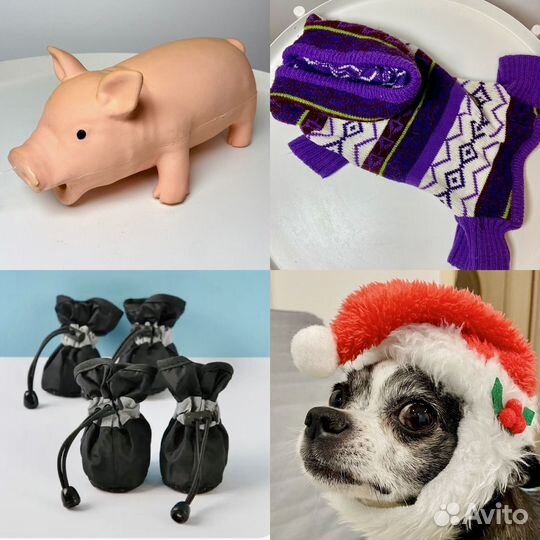 Вещи для маленьких собак игрушки одежда
