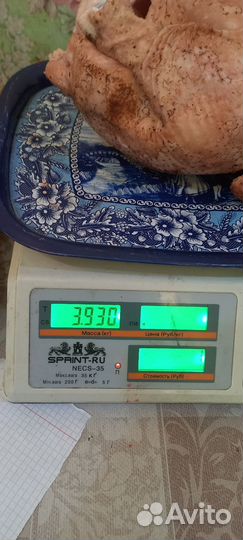 Мясо домашнего бройлера