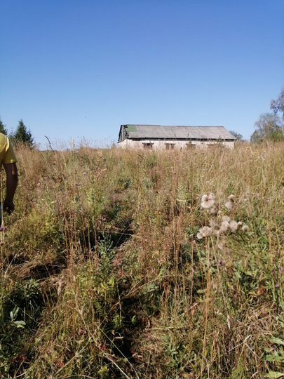 Участок 49,5 га (СНТ, ДНП)