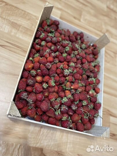 Клубника свежая