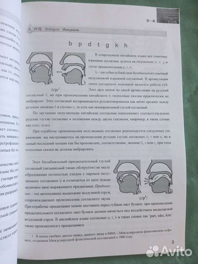 Самоучитель по китайскому языку