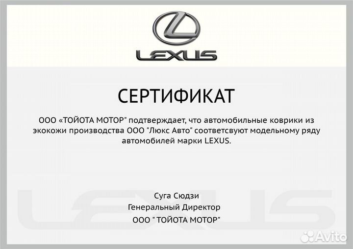 3D Коврики Lexus NX из Экокожи