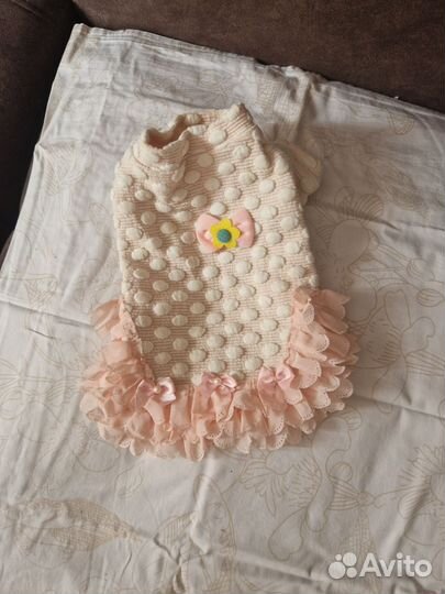 Одежда для маленьких собак