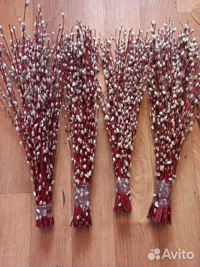 Верба краснотал