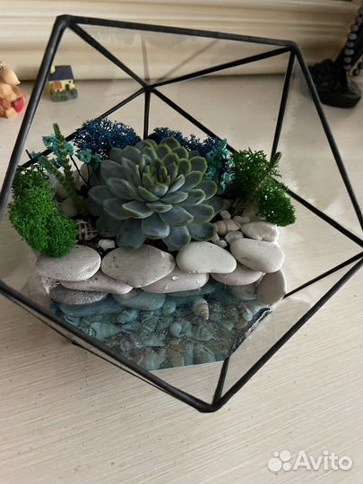 Флорариум с суккулентами