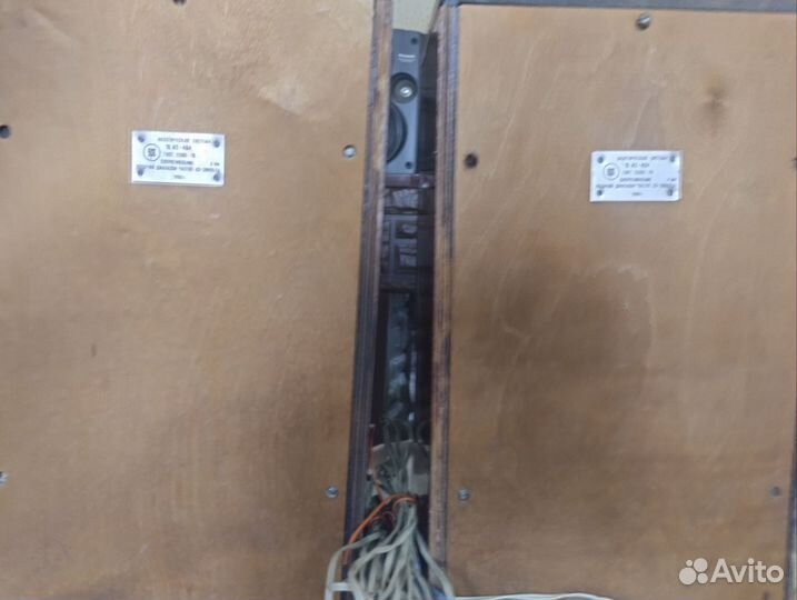 Акустические колонки Вега 15ас-404