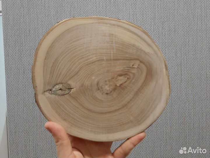 Срезы дерева обработанные для декора, для поделок