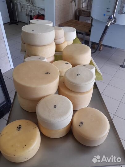 Фермерский крафтовый сыр