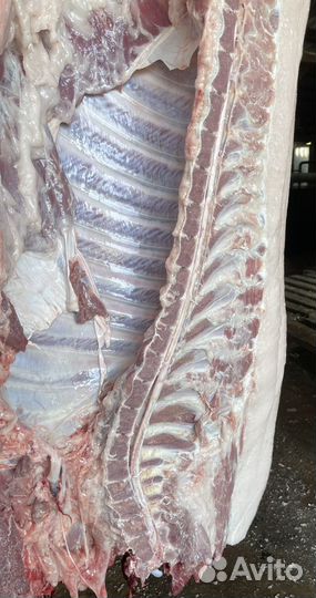 Свинина домашняя