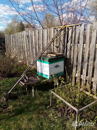 Улий для пчел