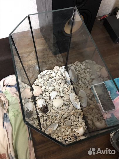 Аквариум с камнями и ракушками