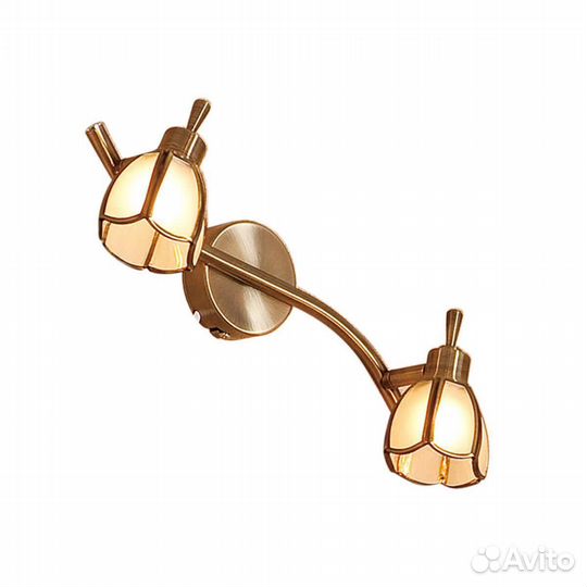 Спот настенно-потолочный Citilux 2 лампы Китай