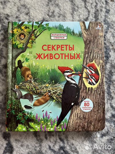 Волшебные створки Робинс