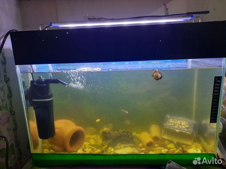 Аквариум