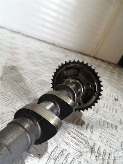 Распредвал Hyundai Equus G6DJ 2014