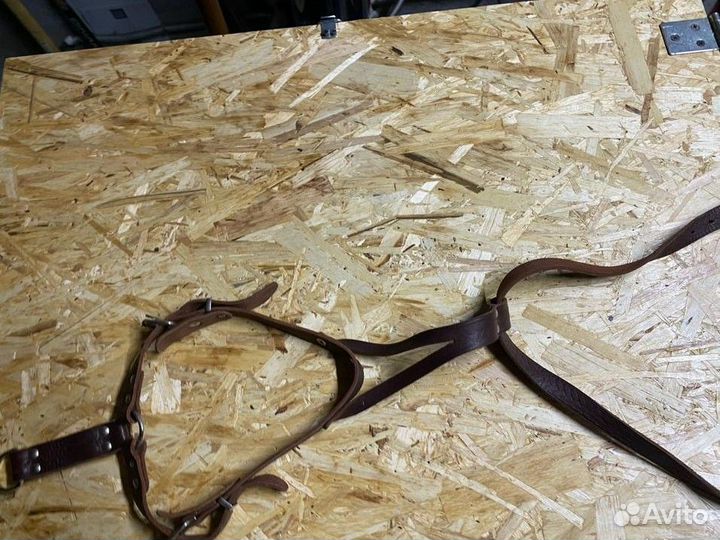 Шлея для собак