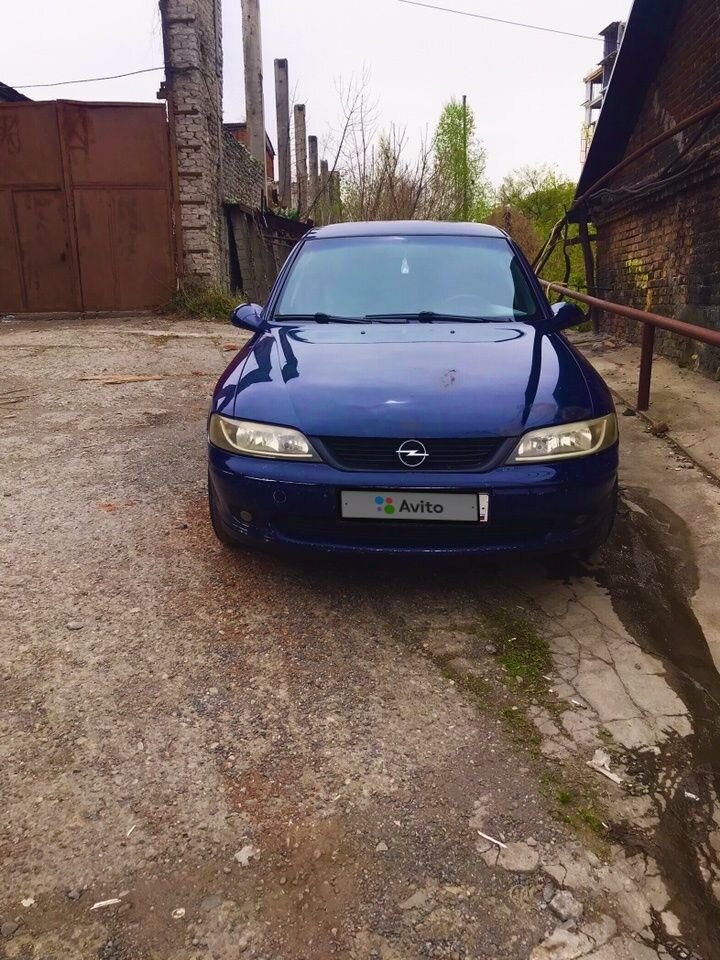 Opel Vectra: фото владельца