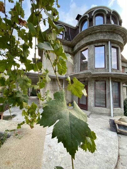 Коттедж 466 м² на участке 19,5 сот.