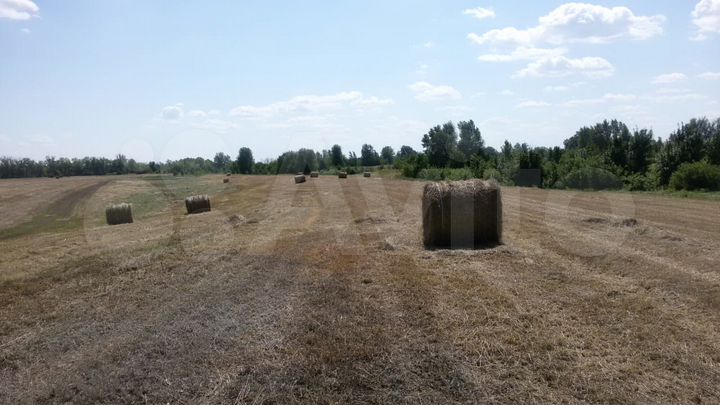 Участок 22 га (СНТ, ДНП)