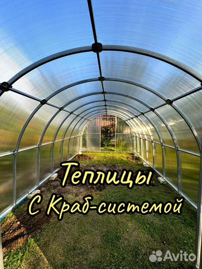 Теплица 3 на 8 м