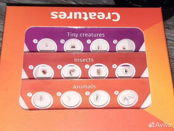 Микроскоп levenhuk labzz m101