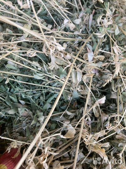 Сено в рулонах