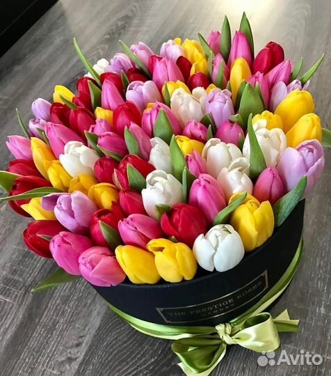 Луковицы тюльпанов