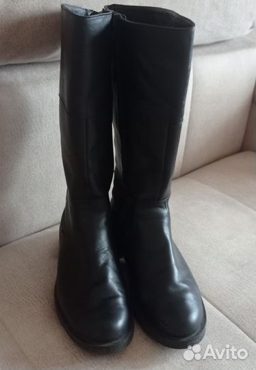 Сапоги женские демисезонные
