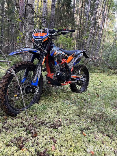 Регульмото атлет про