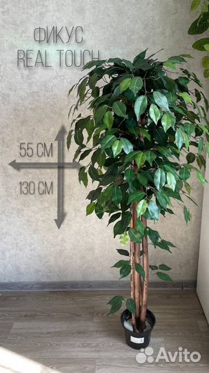 Искусственное дерево Фикус Пальма Лимон Глициния