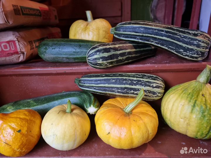 Продам Тыкву