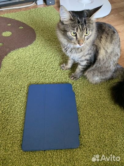 Чехол esr на планшет iPad pro 11 дюймов