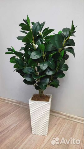 Искусственные растения для декора. Фикус, пальма