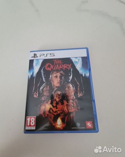 Игра для пс5