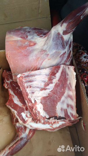 Мясо баранина домашняя халяль