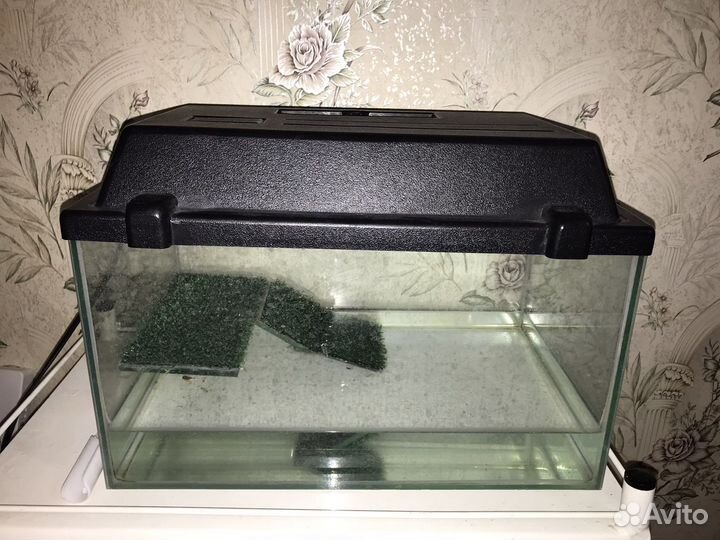 Аквариум и лампа для черепах