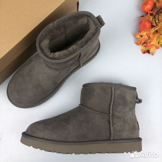 Угги женские Ugg Classic Mini II Grey