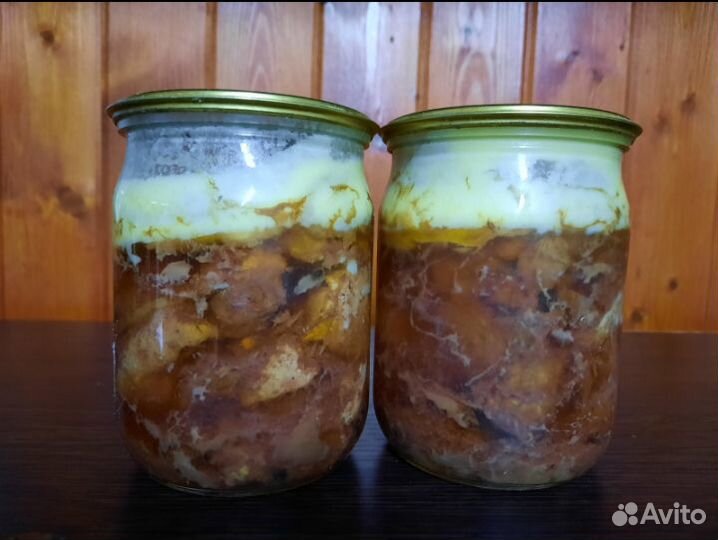 Индоутки (мускусные утки)