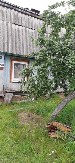 Дом 40 м² на участке 5,9 сот.