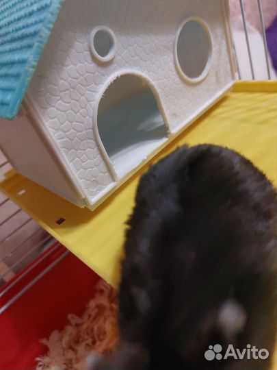 Клетка для грызунов