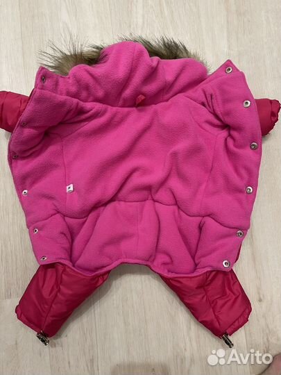 Комбинезон для собак мелких пород (новый)