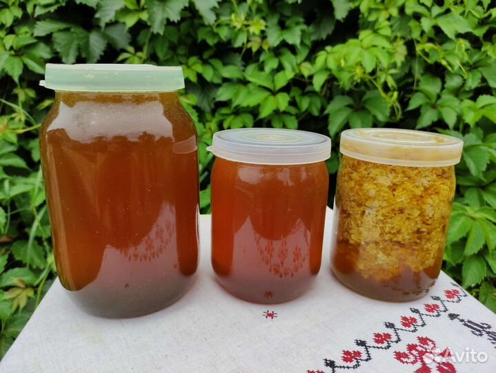 Мёд, урожай 2023 г