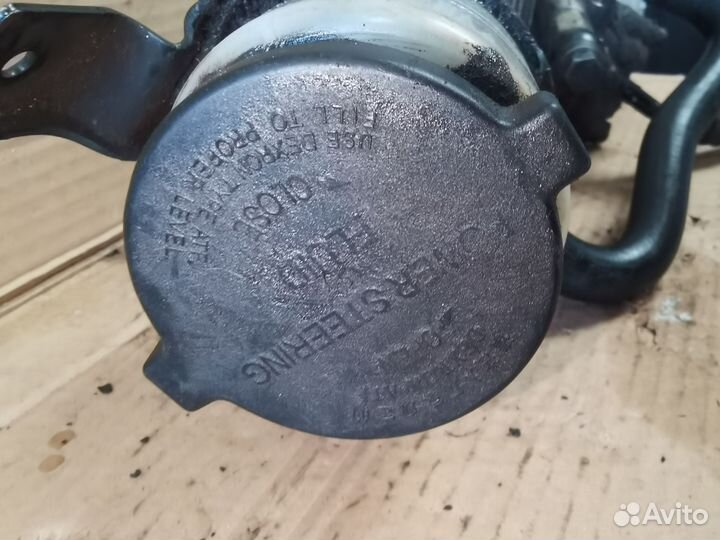 Бачек Гур Фав Вита