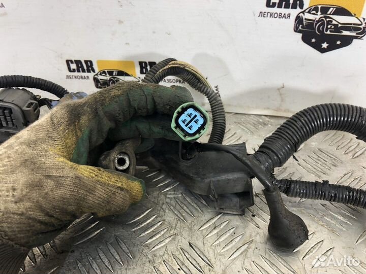 Электропроводка (коса) двигателя 1,6 D16A