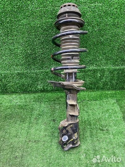 Амортизатор передний правый Hyundai Solaris 6241