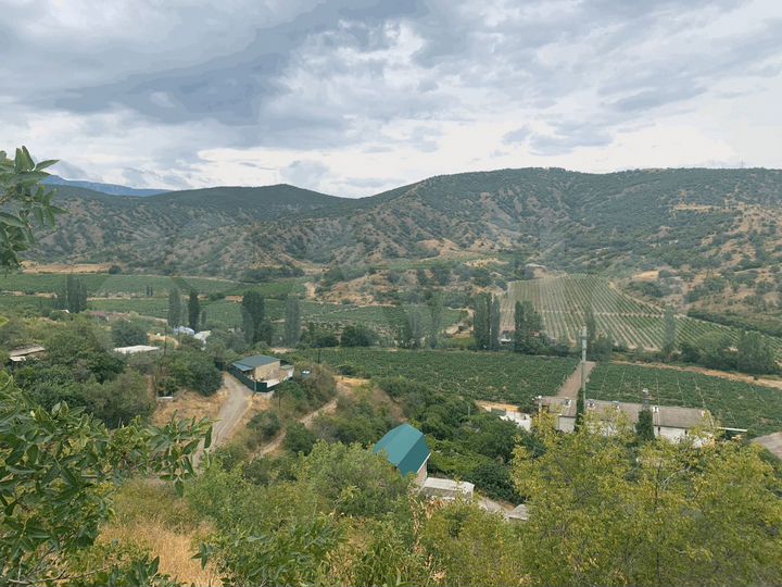 Участок 20 сот. (ИЖС)